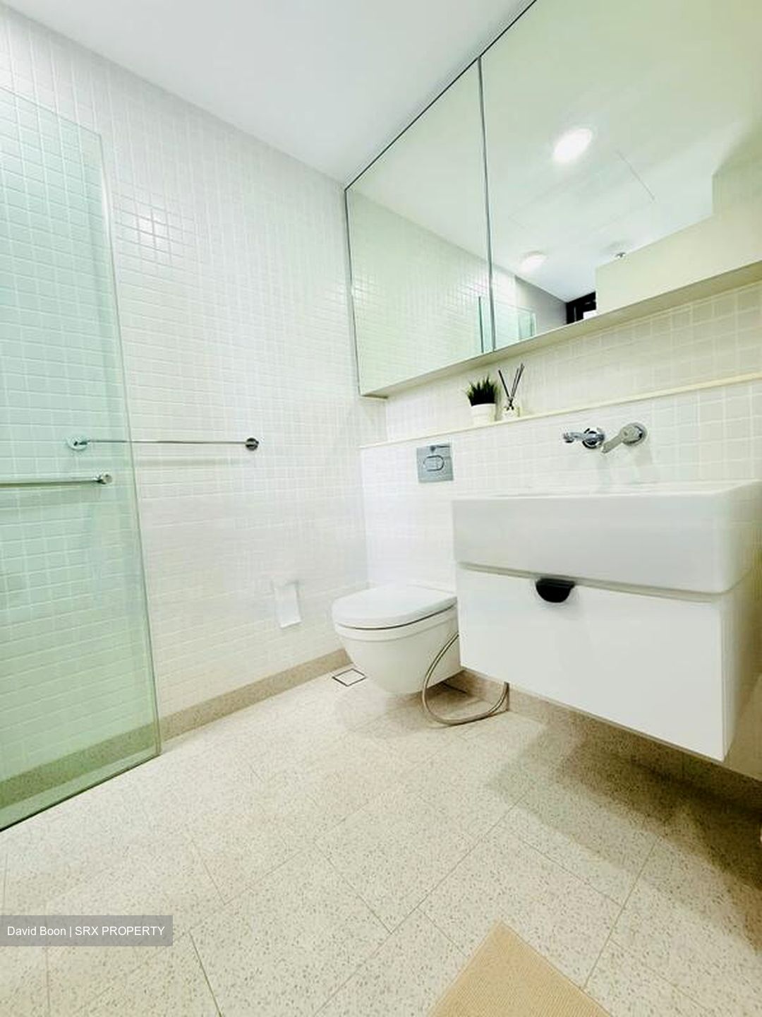 Serangoon Road (D12), Condominium #462126071